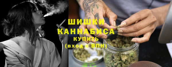 дмт Гусь-Хрустальный