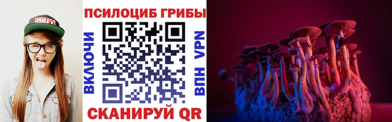 Псилоцибиновые грибы прущие грибы  Купить закладки  Зерноград 